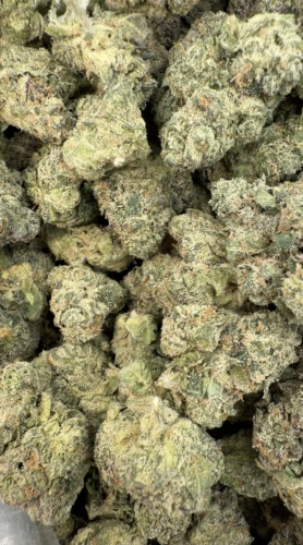 COCO CHERRIES