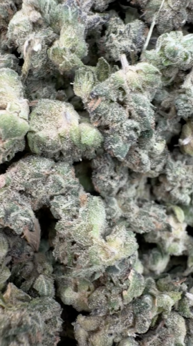 ZOURS