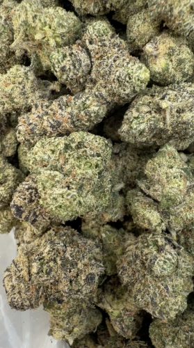 FROSTED ZOOTIEZ